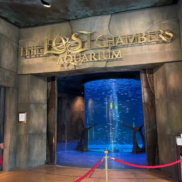 3/26/2023 tarihinde Sue R.ziyaretçi tarafından The Lost Chambers Aquarium'de çekilen fotoğraf
