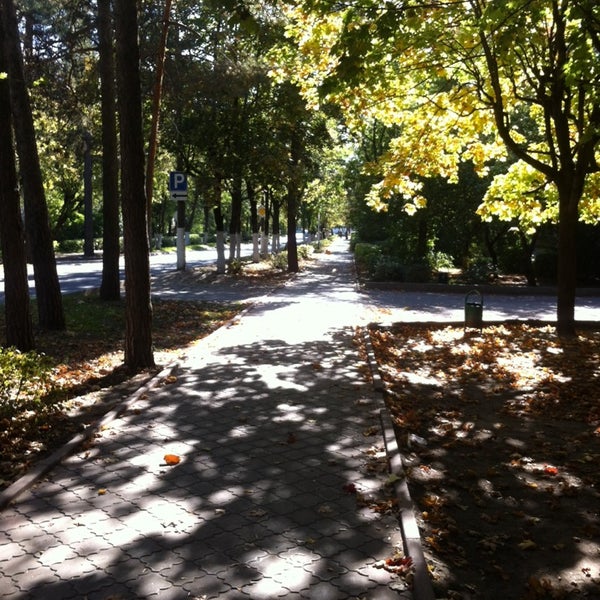 Автостанция протвино телефон. Автобус 363 москва протвино. Голаз 622810. Магазин в протвино возле карьера на остановке гостиница. Автостанция протвино телефон.