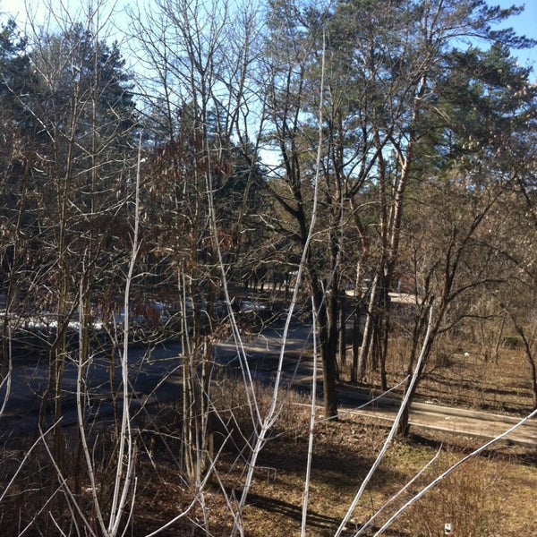 Протвино автостанция фото. Автобус 257. Автостанция протвино телефон. Автовокзал протвино. Автобус пущино грызлово.