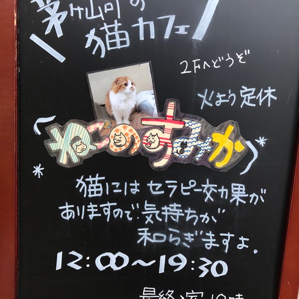 猫カフェ ねこのすみか 茅ヶ崎のカフェ 猫カフェ ねこのすみか 茅ヶ崎のカフェ