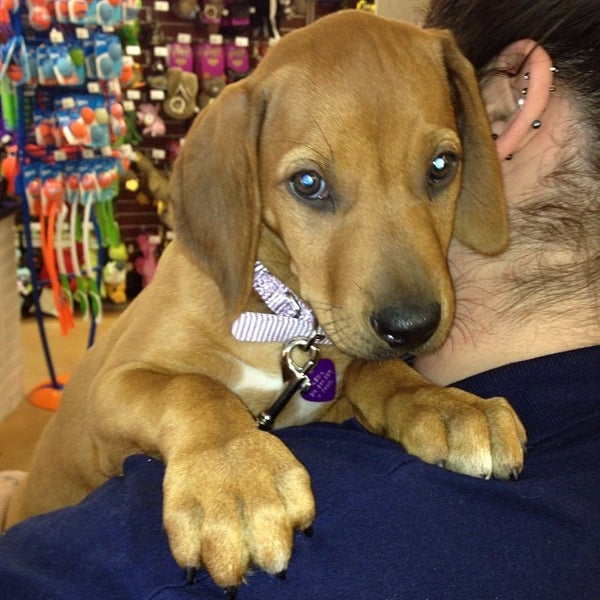 Pet Pantry Warehouse Pet Store In Larchmont