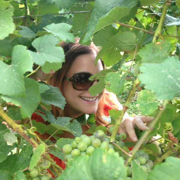 8/31/2013에 Stephanie님이 Ciccone Vineyard &amp; Winery에서 찍은 사진