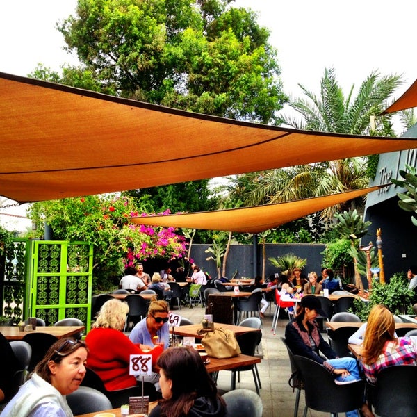 Photos at Lime Tree Cafe Café in Jumeirah