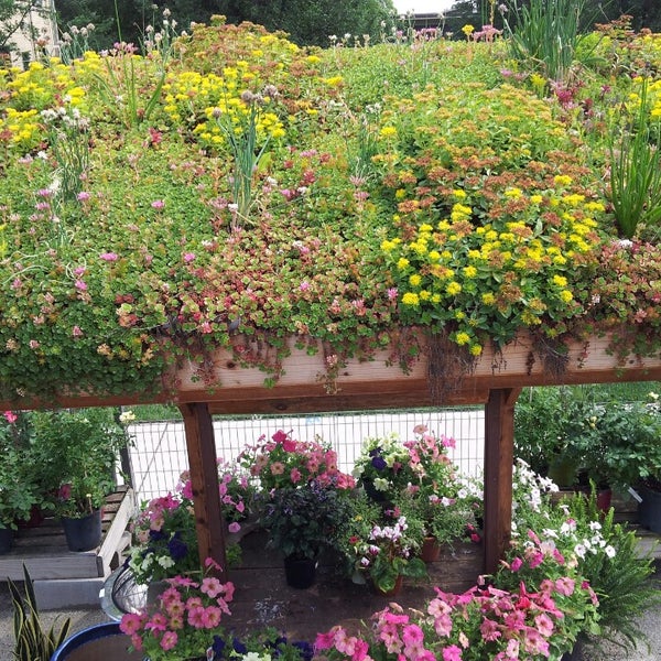 Fertile Gardens Lakeview 1 tip from 143 visitors