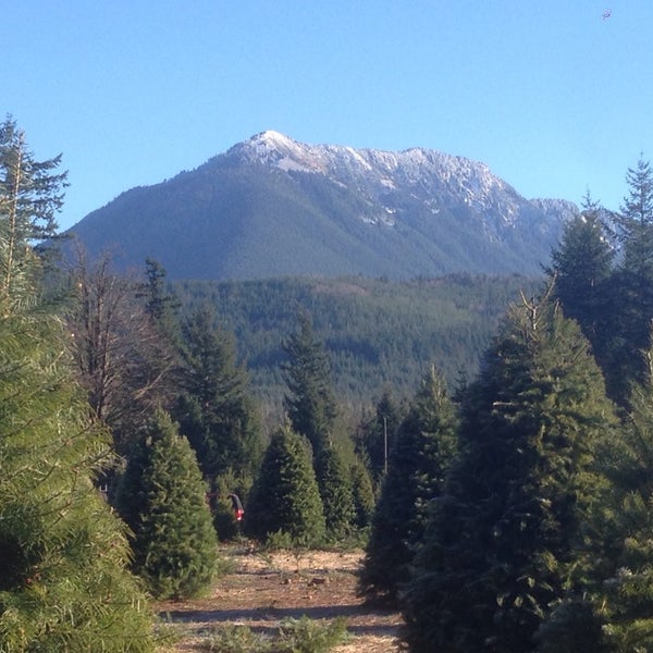 Christmas Creek Tree Farm North Bend, WA