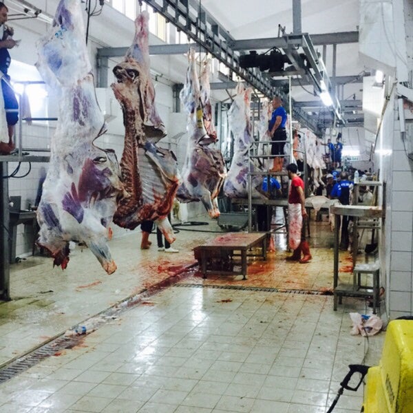 Asis Gıda Et İşleme Entegre Tesisi Malatya, Malatya