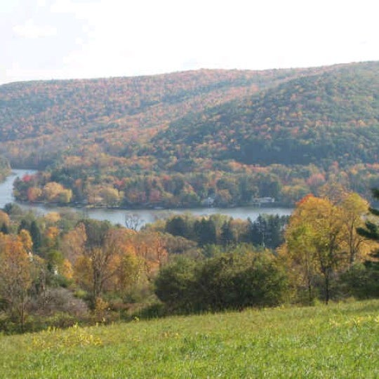 Goodyear Lake Maryland, NY