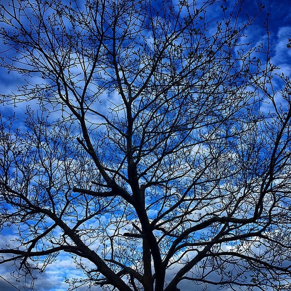 Photos at Amityville Beach Amityville, NY