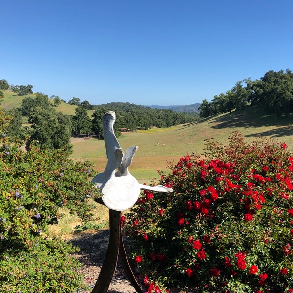 Whalebone Winery Paso Robles CA