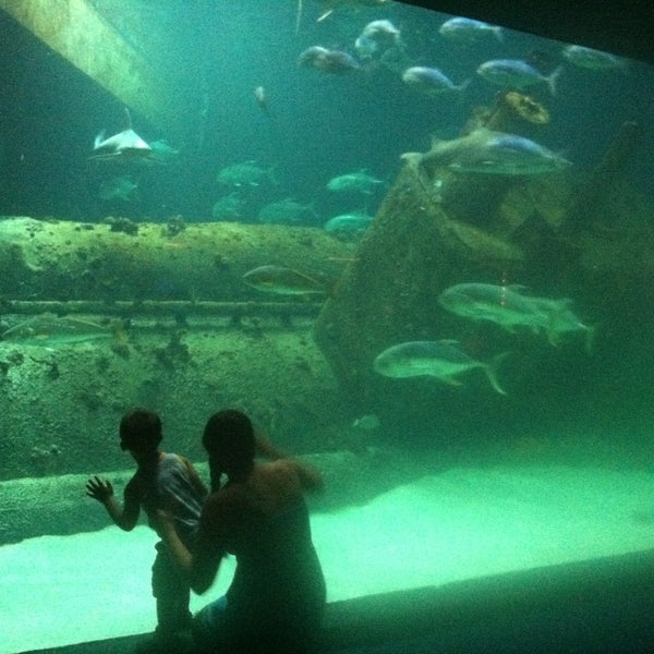 Foto tirada no(a) North Carolina Aquarium at Pine Knoll Shores por Alexandria A. em 5/20/2013