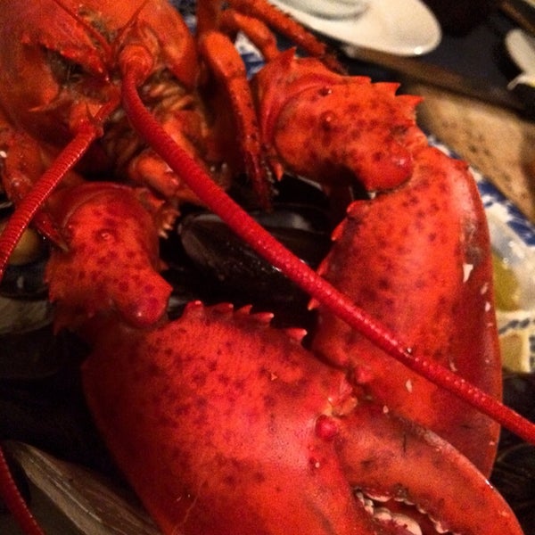 Loved the lobster--incredibly fresh!