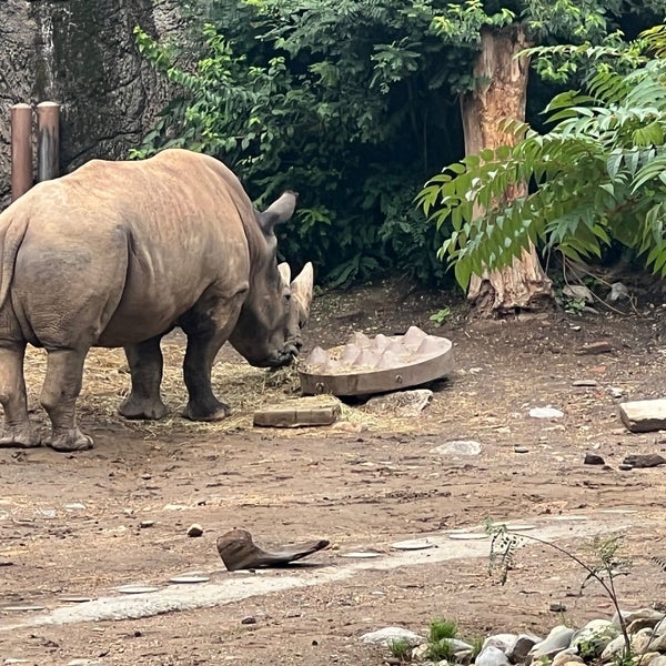 Снимок сделан в Philadelphia Zoo пользователем Carl F. 7/26/2023