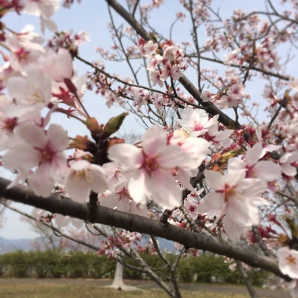 Photos At 太子山公園 Park In 揖保郡太子町