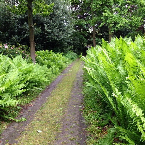 Park van Beervelde BeerveldeDorp 75