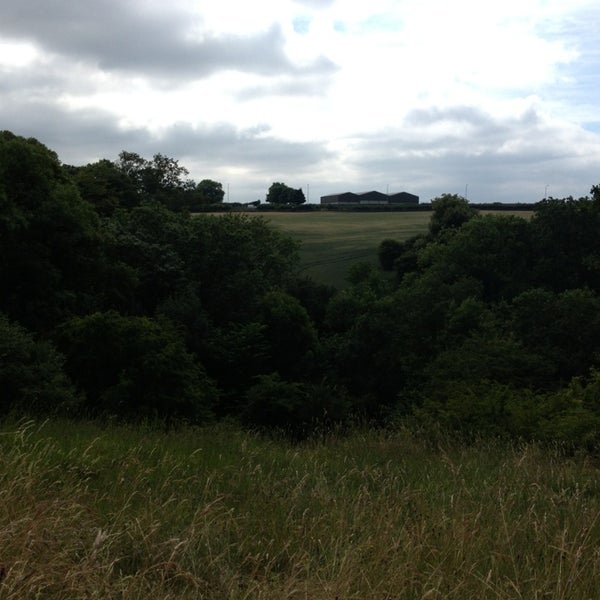 Anston Stones Rotherham, Rotherham