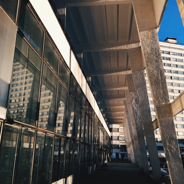 стажер мгу. шешенин мгу мехмат. стажер мгу. стажер мгу. стажер мгу.