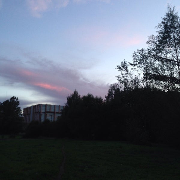 Питер школа 137 ученики. Вавиловых 5к5. 137 школа калининского района. Школа 62 барнаул. Школа 119 калининского района.