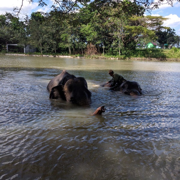 Photos At Taman Nasional Way Kambas Lampung Timur Lampung
