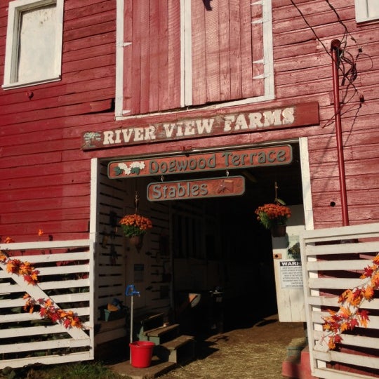 Dogwood Terrace Stables 4 visitors