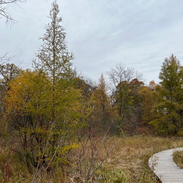 Eloise Butler Wildflower Garden and Bird Sanctuary Nature Preserve in