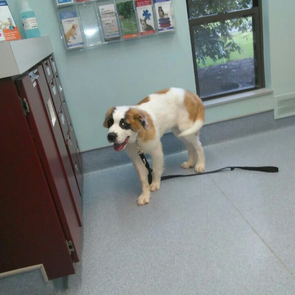 Vca Duncan Manor Animal Hospital Allison Park Pa