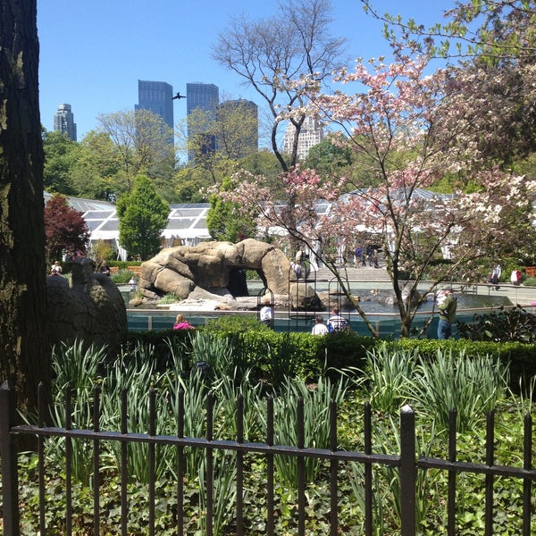 Photo taken at Central Park Zoo by Jorge A. on 5/5/2013