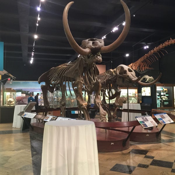 5/3/2017에 Lu Y.님이 University of Michigan Museum of Natural History에서 찍은 사진