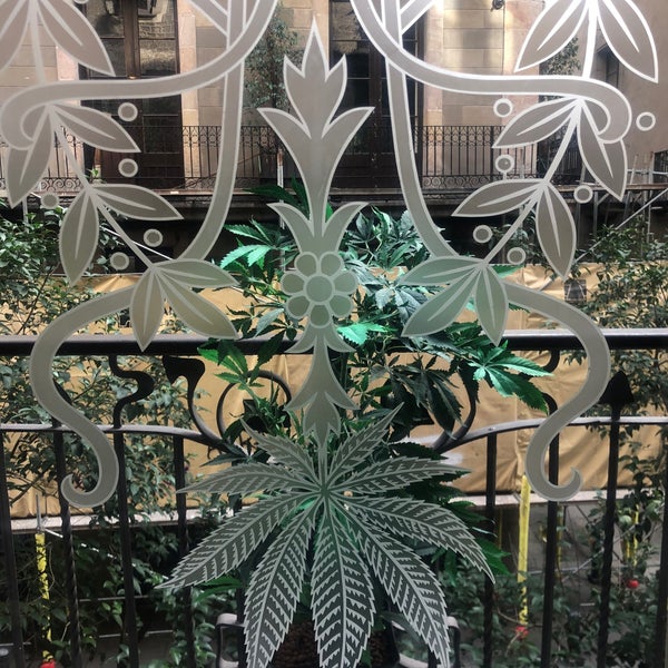 11/15/2019 tarihinde Lu Y.ziyaretçi tarafından Hash Marihuana &amp; Hemp Museum Barcelona'de çekilen fotoğraf