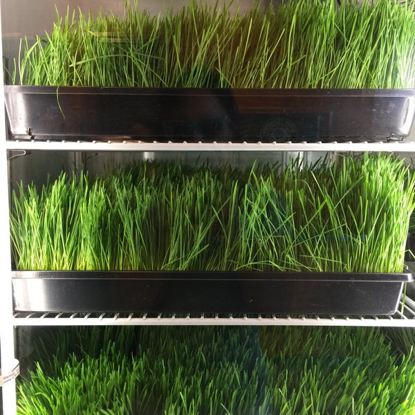 Juice Generation Hell's Kitchen 979 Eighth Ave