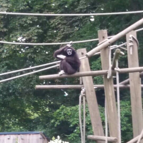Parc Zoologique de Lille Citadelle Lille, HautsdeFrance