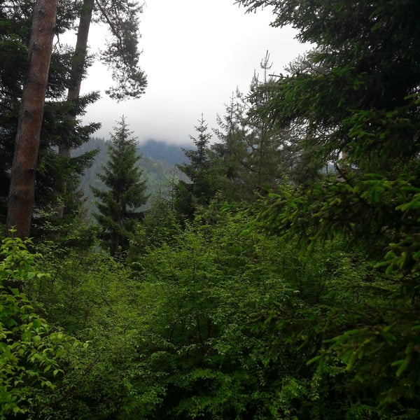 Харагаули Нуниси