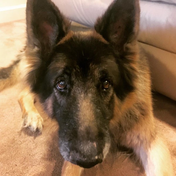 River Walk Clubhouse Simpsonville, SC