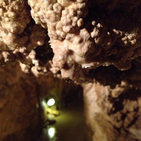 10/12/2013にMichał M.がSzemlő-hegyi-barlangで撮った写真
