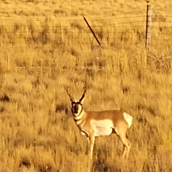 Kemmerer, WY 1 tip from 190 visitors