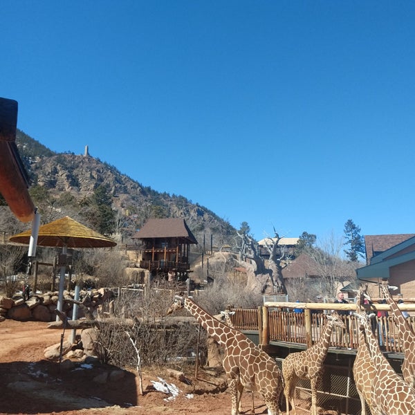 Foto tirada no(a) Cheyenne Mountain Zoo por Mike B. em 3/16/2019