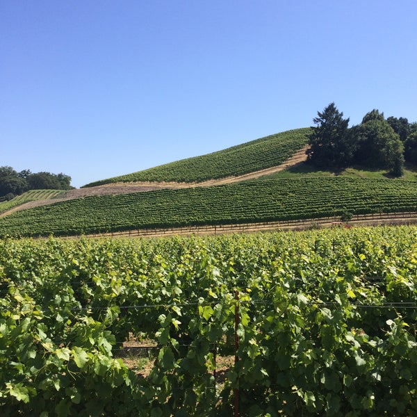 Foto tirada no(a) MacRostie Winery &amp; Vineyards por Sally Y. em 5/23/2015