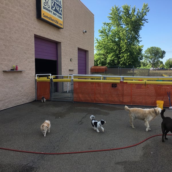 Central bark cheap dog daycare