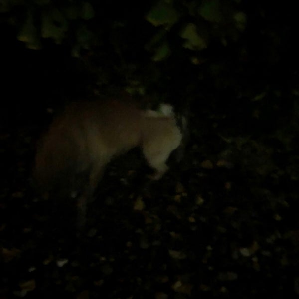 Nativity of Our Lady Catholic Church San Luis Obispo, CA