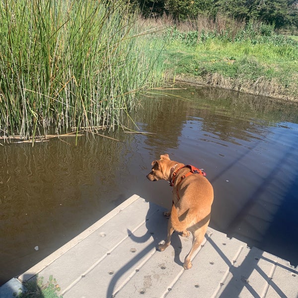 Laguna Dog Park San Luis Obispo