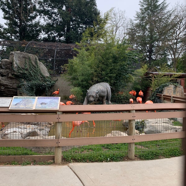 Animals of West Africa, Charles Paddock Zoo