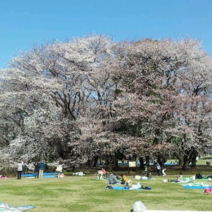 砧公園 Kinuta Park 砧 60 Tips 砧公園 Kinuta Park 砧 60 Tips