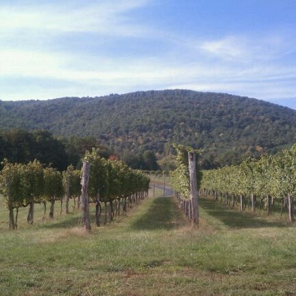 Foto tirada no(a) Afton Mountain Vineyards por Paul J. em 10/9/2011