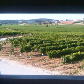 Photo taken at Quinta do Gradil by Luis V. on 8/16/2012