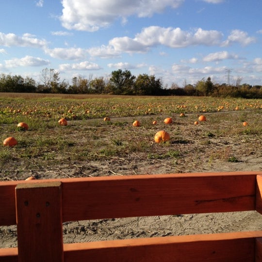 รูปภาพถ่ายที่ Fleitz Pumpkin Farm โดย Rebecca T. เมื่อ 10/15/2011
