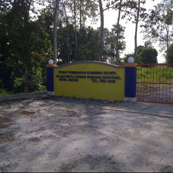 Pusat Pembiakan Bebiri Gajah Mati 2 Tips From 15 Visitors