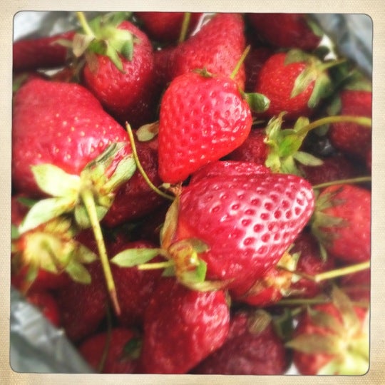 Photos At PiaÈ›a Amzei Farmers Market In PiaÈ›a RomanÄƒ