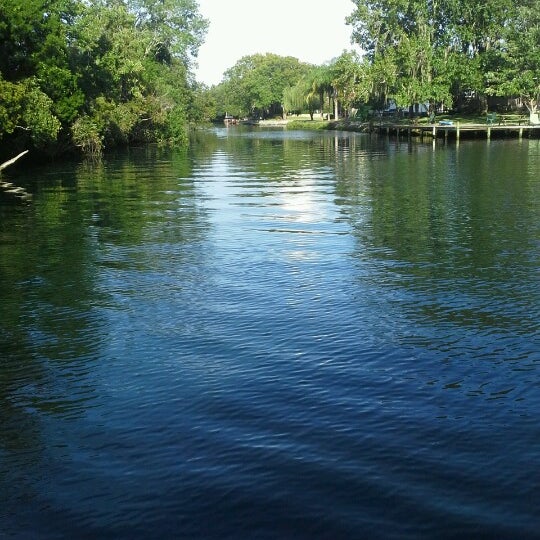 My Image 7