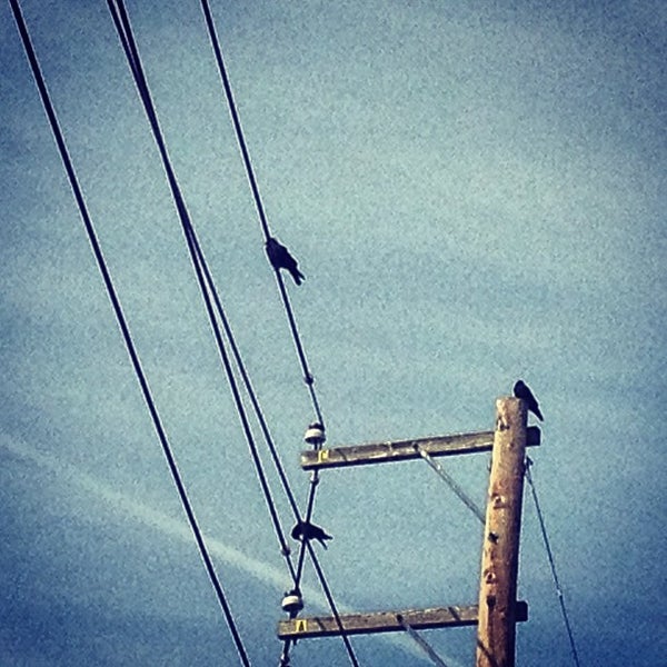 Advance Auto Parts Carlisle, PA