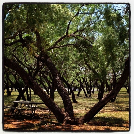 Redbud Park Park in Abilene