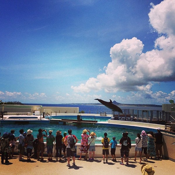 Photos At 沖縄水族館 真嘉比店 那覇市 沖縄県